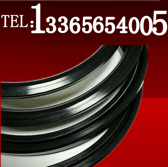 VA500 550 600 650 700 725 750 High quality axial VA water seal V-type rotary seals