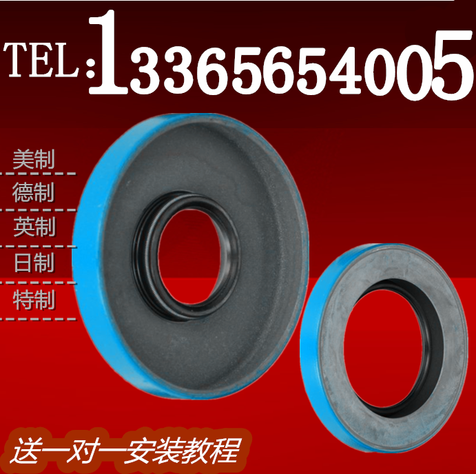 NATIONAL 100545VG MEXICO OIL SEAL 15Z 245 273 15 80 OIL SEAL