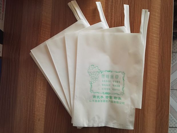 Trái cây túi đầy đủ mẫu làm vườn cung cấp túi nho đỏ túi gỗ trắng bột giấy túi chống túi giấy - Nguồn cung cấp vườn chậu trồng cây