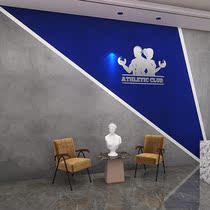 Fitness Room Cement Wall Wall Panel Dancing Room Bar Industrial Wind Trim Plate Net Red Klein Blue Integrated Wall Panel