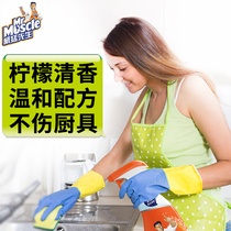 Mr. Weifery Kitchen Heavy Oil Pollution Net Range Hood Cleaning Agent Goes to Oil God Powerful to Stubborn Stains Removal of Bacteria Scale