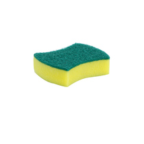 Sponge