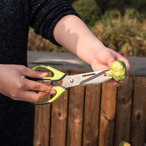 Norsong Garden Outdoor Patio Barbecue With Food Kitchen Stainless Steel Multifunction Portable Scissors Home Big Scissors