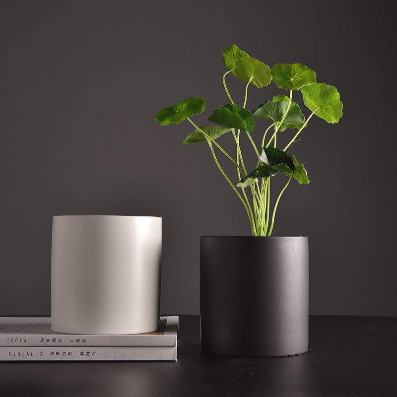 Nordic ins simulation plant decoration creative small ornaments Living room desktop potted home indoor fake green plant bonsai