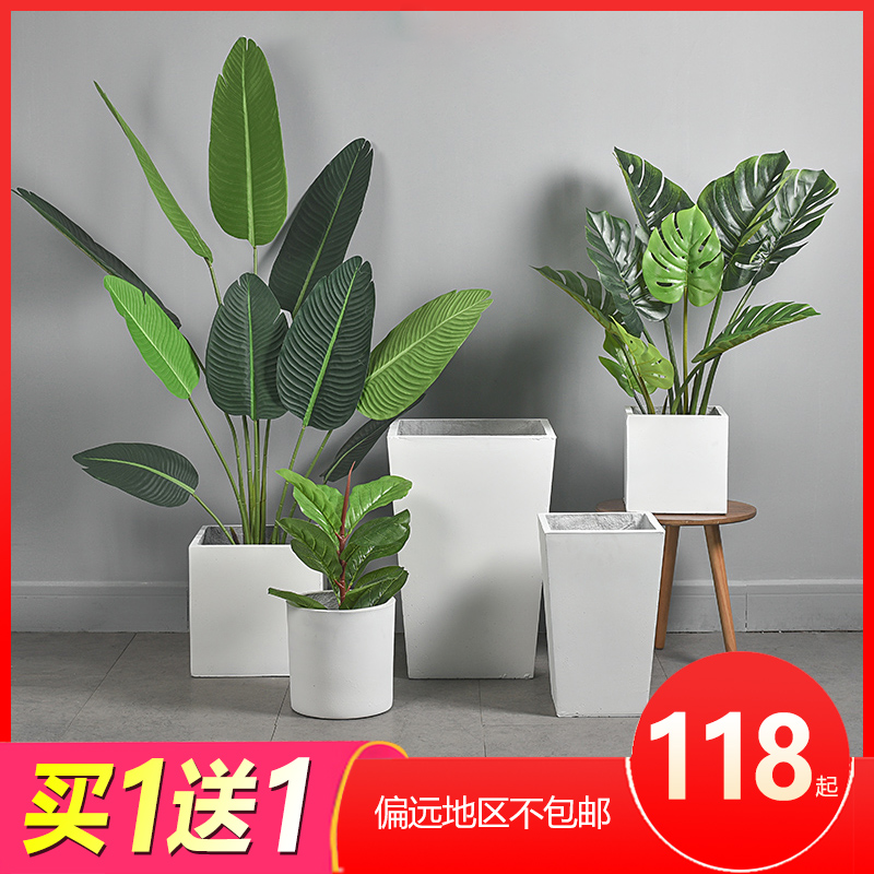 Fragrant ring black and white cement flower pot Nordic style square floor basin minimalist Creativity Indoor Patio Green plant Large number