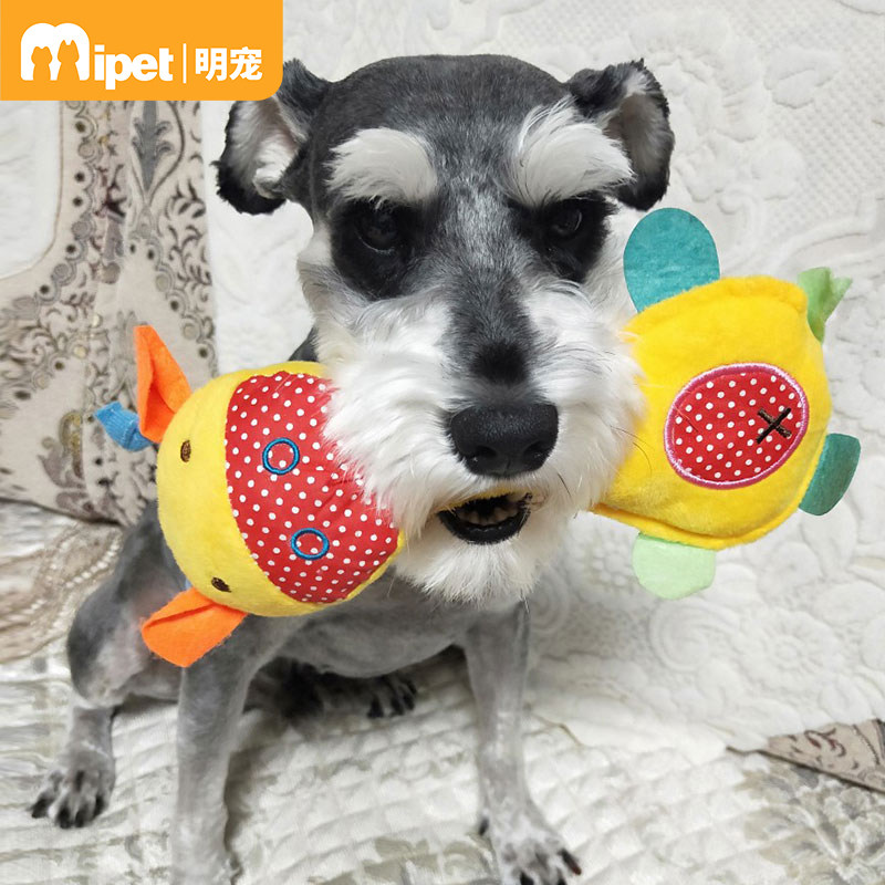 Dog Plush Toys Sound Molar Bite Resistant Training Teddy Bichon Frize Puppies Chew Glue Dog Cat Pet Supplies