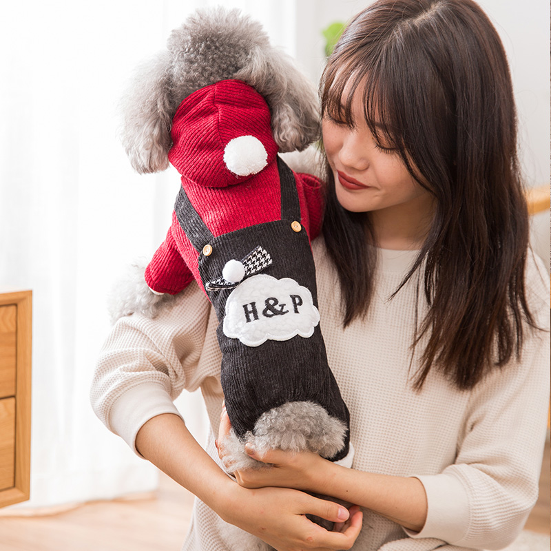 Internet celebrity puppy clothes winter thickened plus velvet Teddy winter model Bichon Schnauzer small dog pet autumn and winter clothes