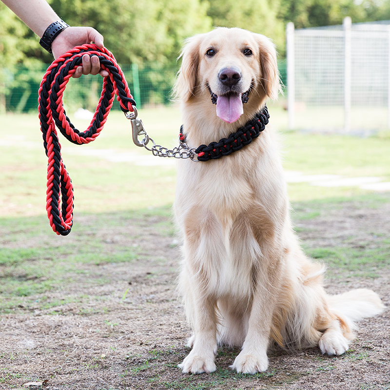 Dog chain medium-sized large dog dog leash golden retriever Labrador multiple circles P chain walking dog leash dog supplies
