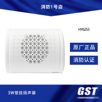  Bay fire broadcast speaker 3W speaker speaker HY6253 indoor wall-mounted speaker