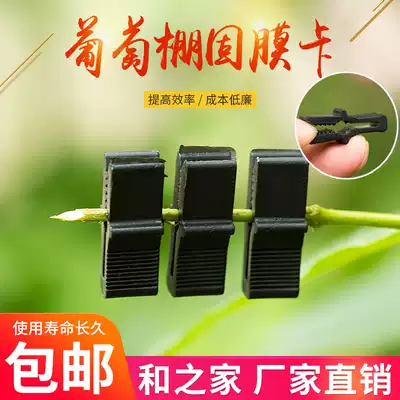 Grape canopy solid pressure film Plastic clip card Film card tied branch card Bamboo clip greenhouse accessories pressure film card 