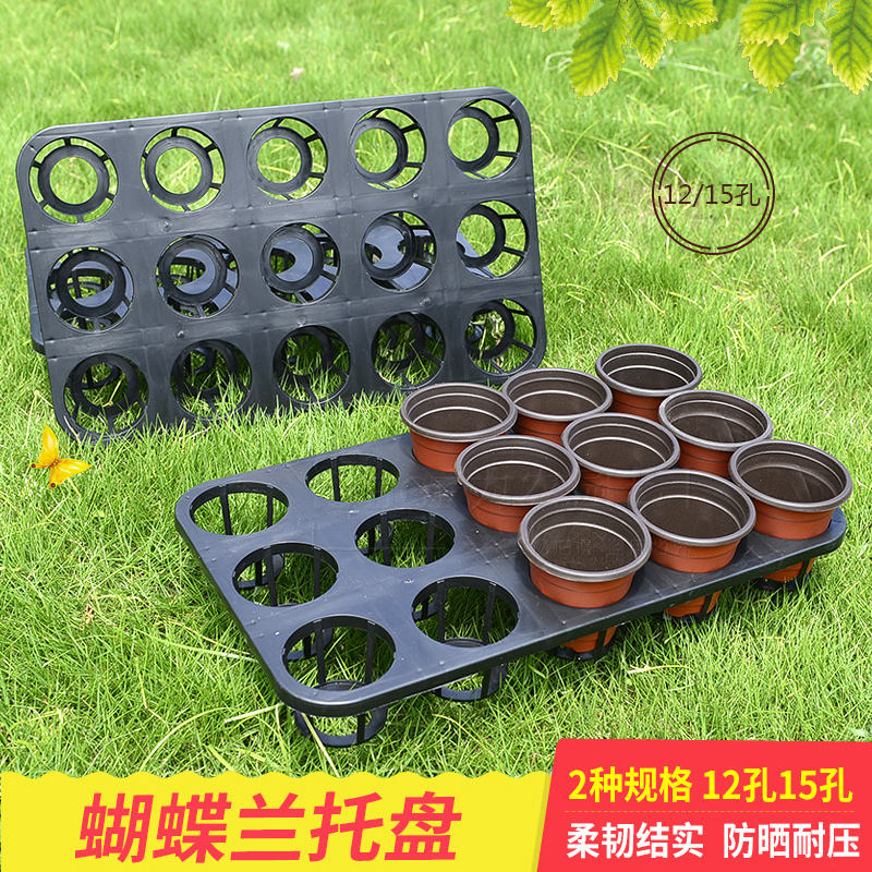 Promotional nursery hole plate Phalaenopsis tray 12 holes 15 holes plate Flower nursery pot tray Plastic flower rack