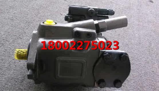 Richle Hydraulic Pump A10VS 063 Hydraulic Pump Piston Pump with Oil Disk Flat Zhu Chai Pump Assembly