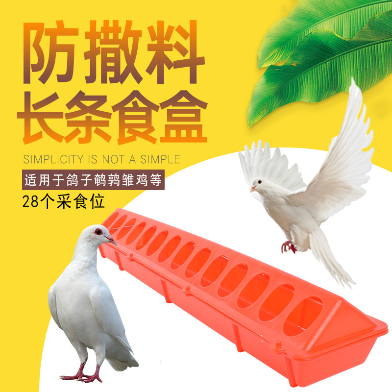 鸽子防撒食槽自动喂食槽鸽子用品用具信鸽饮水器肉鸽下料器喂食器