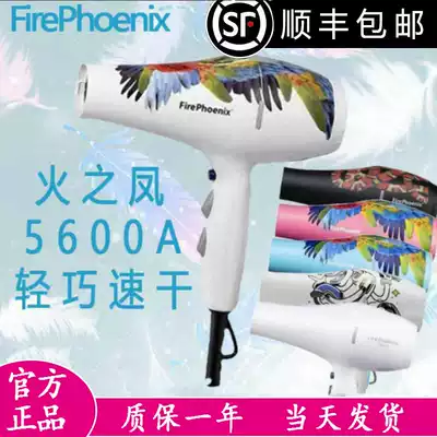 Fire Phoenix 5600A parrot hair dryer hair stylist special ultra-light mute high-power shop styling hair dryer