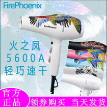 Fires Feng 5600A Parrot Hair Dryer Hair Stylist Special Super Light Silent High Power Hairdresser Styling wind-dryer