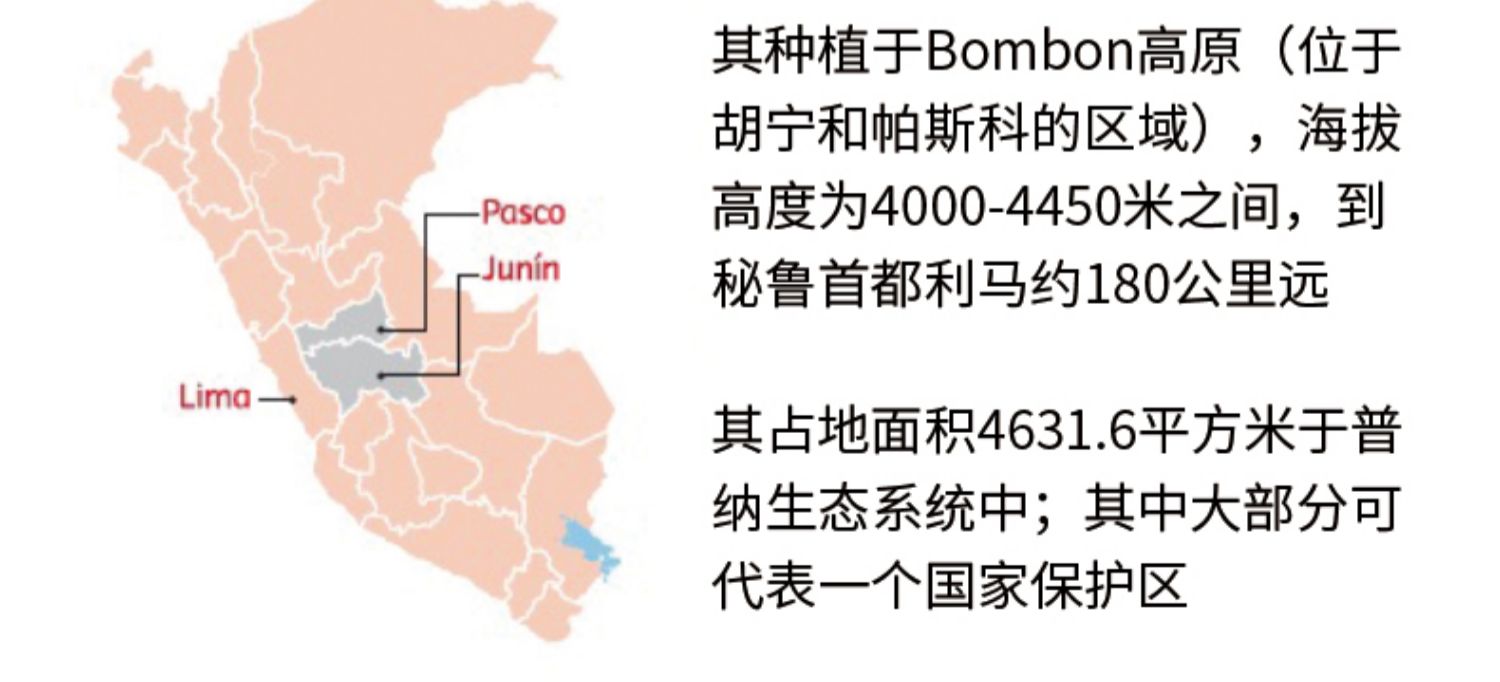 秘鲁进口正品滋补黑玛咖片口服胶囊