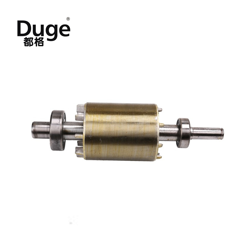 Single Cylinder Rotor Stator High Pressure Air Pump Motor Rotor Universal Electric Air Pump Bearing Rotor Motor Accessories