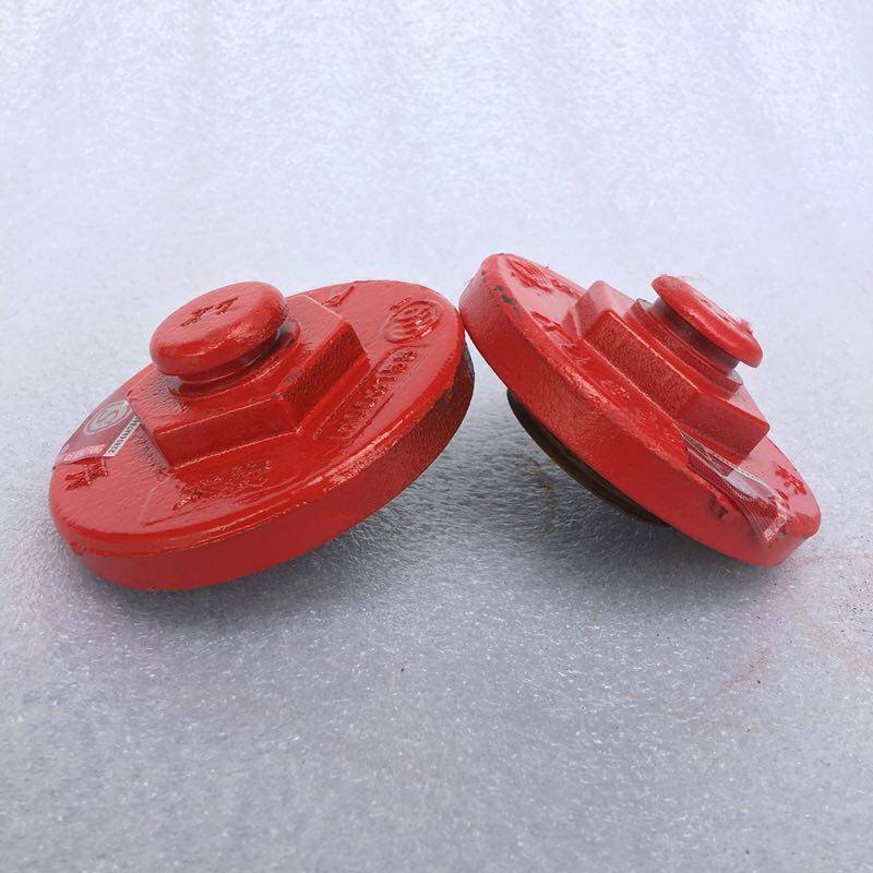 Ground bolt fire hydrant side cover 65 buckle cover