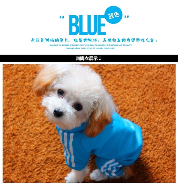 Quần áo chó Teddy mùa xuân và mùa thu chó mỏng quần áo bốn chân thú cưng con chó nhỏ mèo quần áo mèo xu hướng thể thao thẻ - Quần áo & phụ kiện thú cưng quần áo chó
