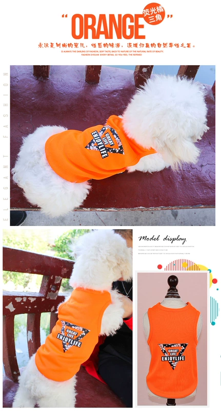 Pet dog quần áo chó vest lưới thoáng khí mùa xuân và mùa hè mỏng Teddy gấu Xiong Bomei cún mèo trang phục - Quần áo & phụ kiện thú cưng