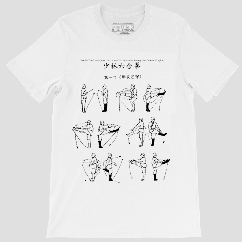 オリジナルカンフー中国少林寺カンフー秘密基本チュートリアルイラストレトロ夏半袖Tシャツ