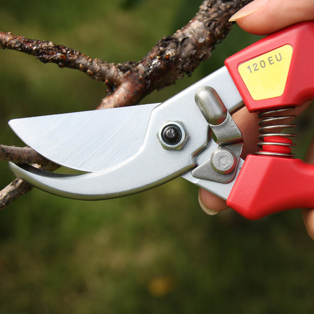 ຍີ່ປຸ່ນນໍາເຂົ້າ Alice ARS120EU ເຄື່ອງມືເຮັດສວນມີດຕັດຕົ້ນໄມ້ຫມາກໄມ້ຕັດກິ່ງງ່າຫນາ shears pruning shears