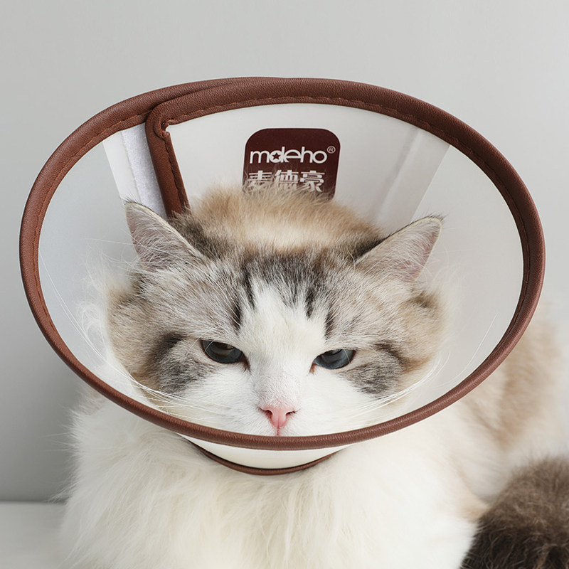 Elizabeth Circle young cat gig doll head hood kitty headgear Anti-biting anti-licking cat Pet Illisha White Item Circle