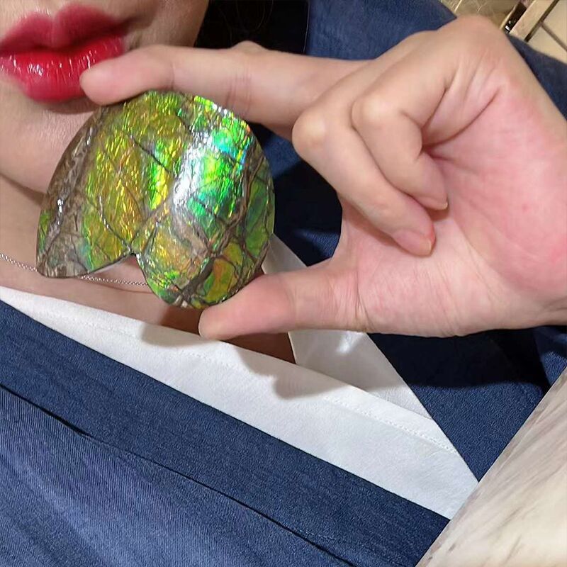 Wasabi Canadian Natural Spotted Stone Fossil Ornament, Personalized Home Luxury Decoration, Spotted Snail Artifact Wasabi Canadian Natural Spotted Stone Fossil Ornament, Personalized Home Luxury Decoration, Spotted Snail Artifact