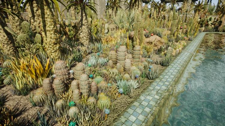 图片[11]-Cactus Plants: Desert Garden仙人掌植物沙漠花园岩石UE4.27建筑-cg男孩
