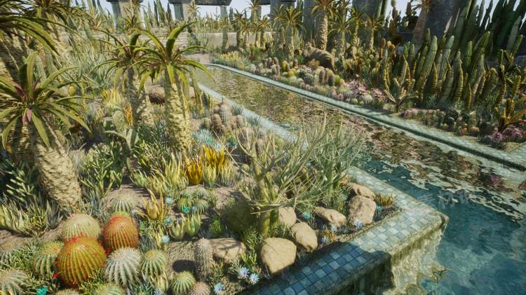 图片[12]-Cactus Plants: Desert Garden仙人掌植物沙漠花园岩石UE4.27建筑-cg男孩