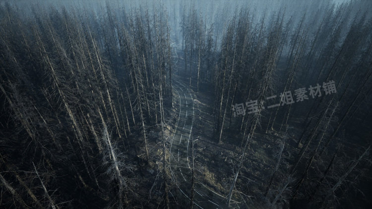 图片[14]-MW Burned Dead Trees Forest Biome燃烧森林死树枯木UE5虚幻5.1-cg男孩