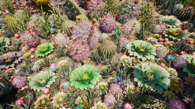 图片[23]-Cactus Plants: Desert Garden仙人掌植物沙漠花园岩石UE4.27建筑-cg男孩