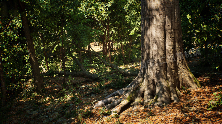 图片[2]-Japanese Forest Grave日本森林坟墓神社植物道具UE5.1游戏资产-cg男孩