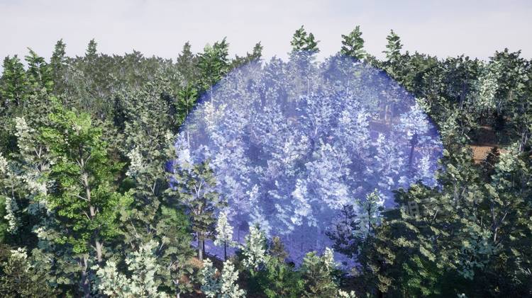 图片[10]-Northeastern US Plants and Ecosystems植物生态系统UE5环境UE4-cg男孩