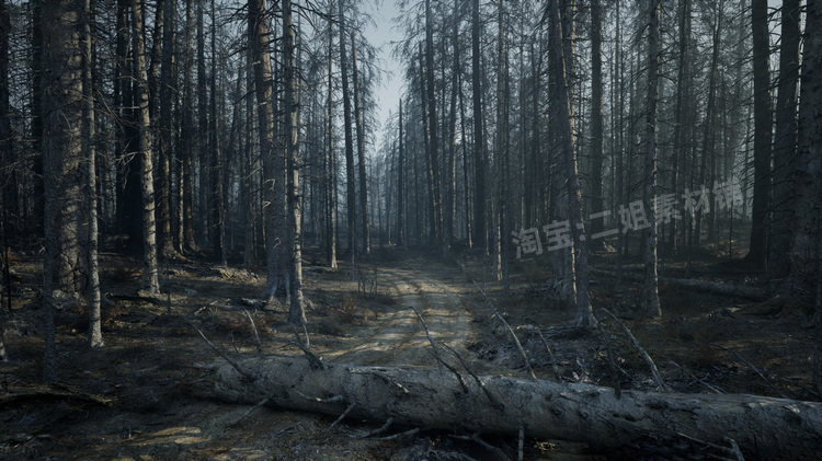 图片[3]-MW Burned Dead Trees Forest Biome燃烧森林死树枯木UE5虚幻5.1-cg男孩