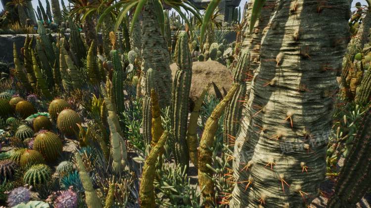 图片[21]-Cactus Plants: Desert Garden仙人掌植物沙漠花园岩石UE4.27建筑-cg男孩