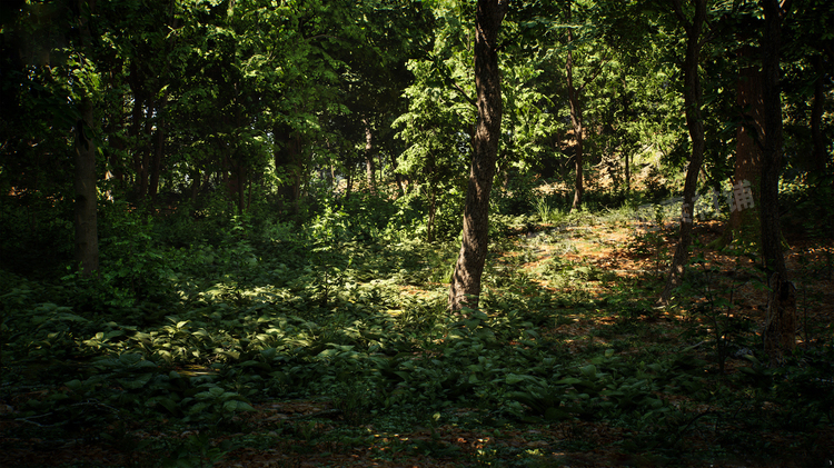 图片[3]-Japanese Forest Grave日本森林坟墓神社植物道具UE5.1游戏资产-cg男孩