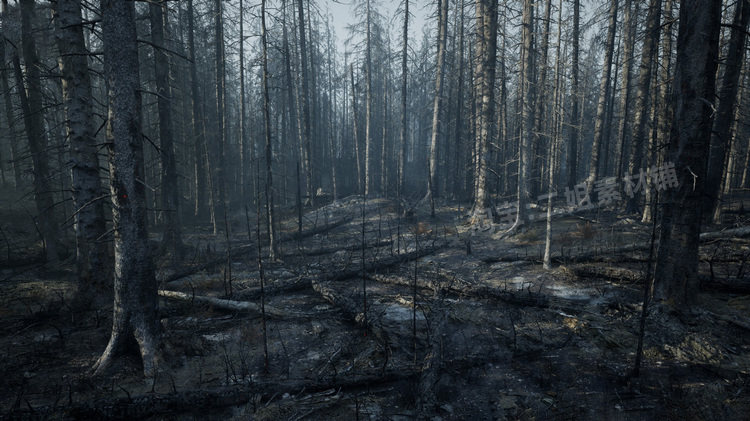 图片[5]-MW Burned Dead Trees Forest Biome燃烧森林死树枯木UE5虚幻5.1-cg男孩