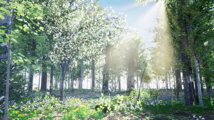 图片[4]-Northeastern US Plants and Ecosystems植物生态系统UE5环境UE4-cg男孩