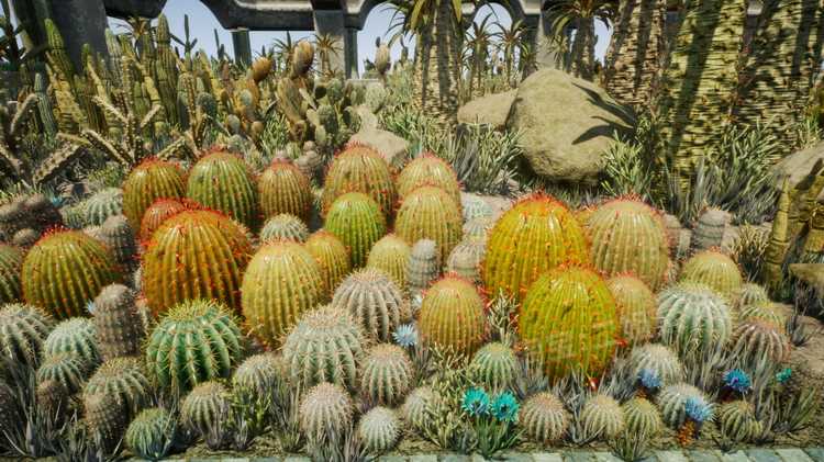 图片[5]-Cactus Plants: Desert Garden仙人掌植物沙漠花园岩石UE4.27建筑-cg男孩
