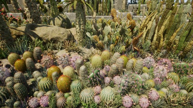 图片[20]-Cactus Plants: Desert Garden仙人掌植物沙漠花园岩石UE4.27建筑-cg男孩