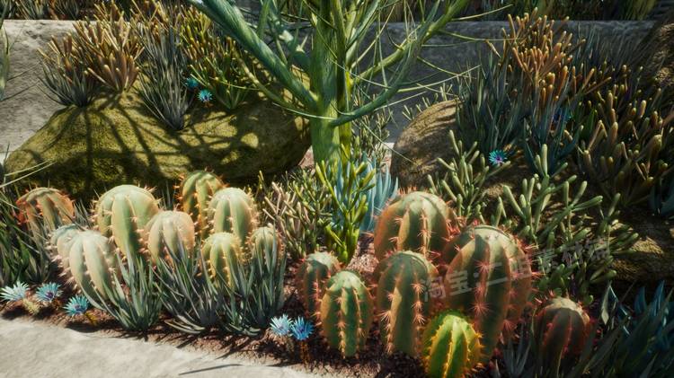 图片[13]-Cactus Plants: Desert Garden仙人掌植物沙漠花园岩石UE4.27建筑-cg男孩