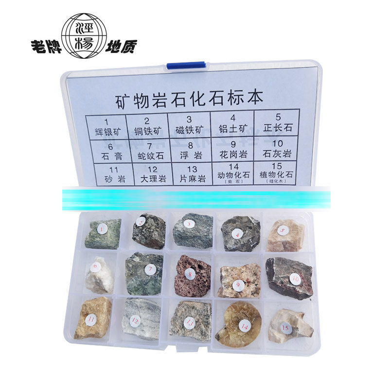 特惠15种岩石矿物化石标本科普教学小学四年级用