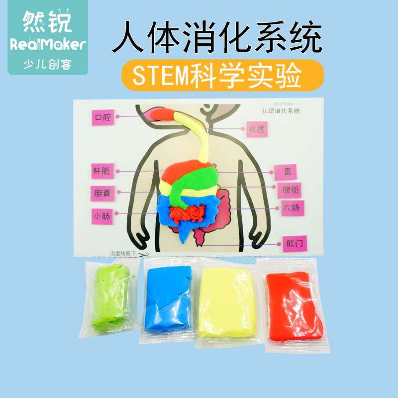 科技小制作stem科学实验小学生DIY内脏拼图材料人体消化系统教具