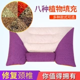 Гречника Merrodia шейки матки