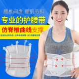 Ремень ремня поясничный диск, выступающий по поясничным мышцам.