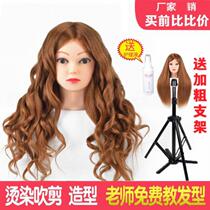 Perm model Hair cut Hair touch Real hair haircut Face model Body simulation person shop practice makeup novice