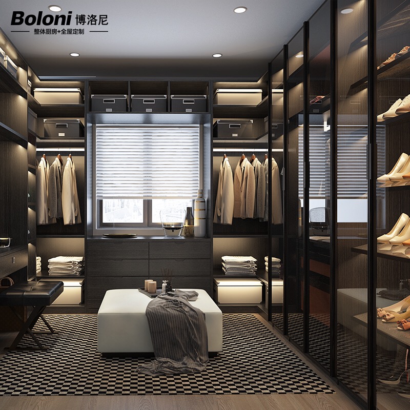 Boloni Custom Overall Wardrobe Bedroom Modern Aluminum Frame Glass Large Wardrobe Cloakroom Cyborg Bernia