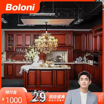 Boloni custom kitchen overall cabinet European classic combination whole cabinet storage custom prepaid gold Pavia