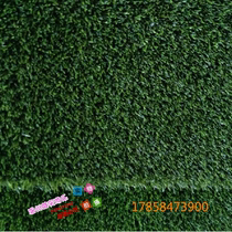 Artificial lawn Simulation lawn carpet Outdoor encrypted artificial lawn Plastic lawn Balcony fake turf Kindergarten